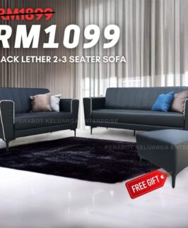 Sofa Set